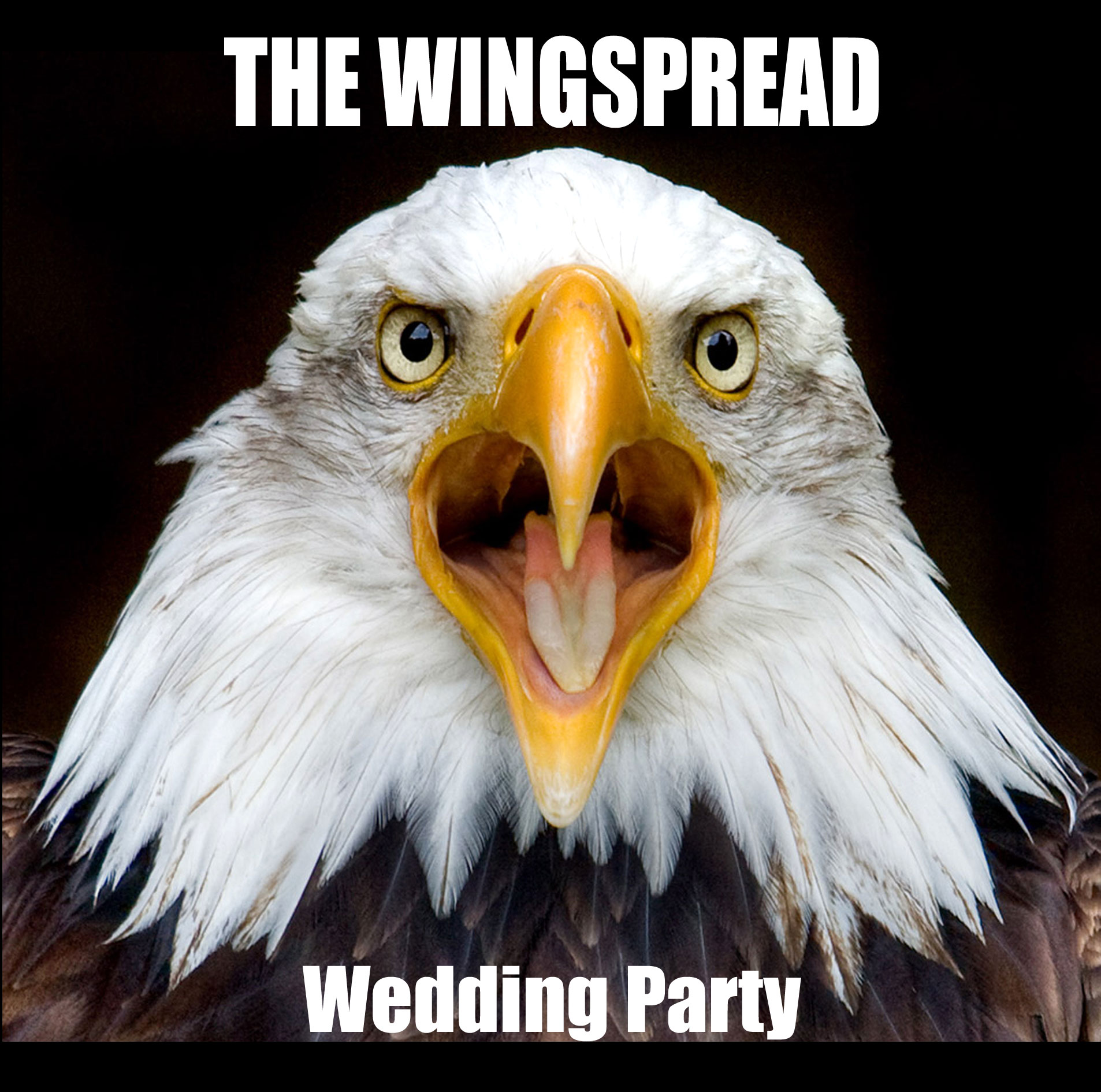 wingspread wedding party